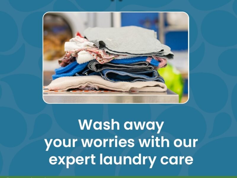 Lave Kart - Top Cloth Washing and Shoe Cleaning Service in Jaipur